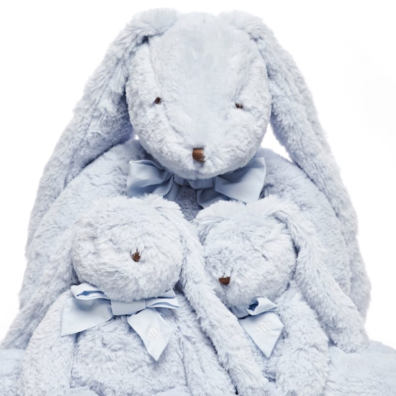 Lapin "Sympa"