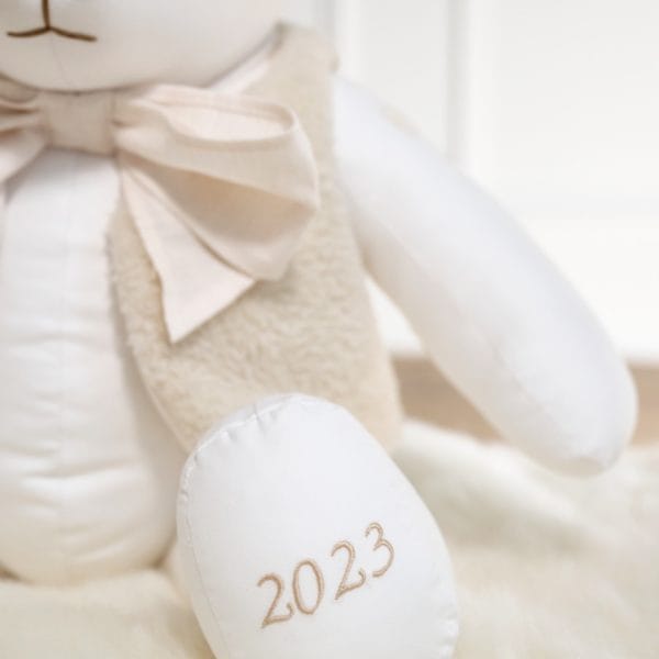 Teddy 2023