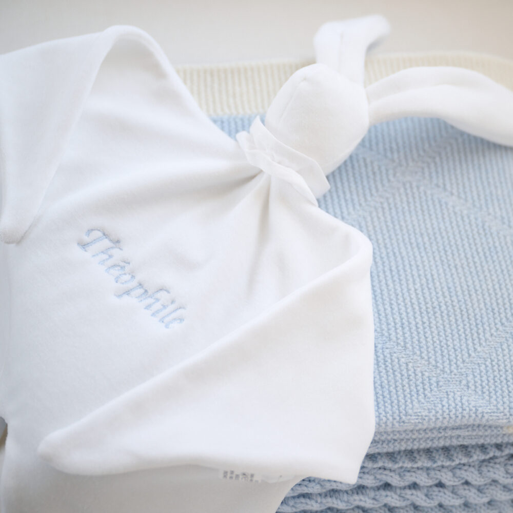 Custom velvet Rabbit soft toy